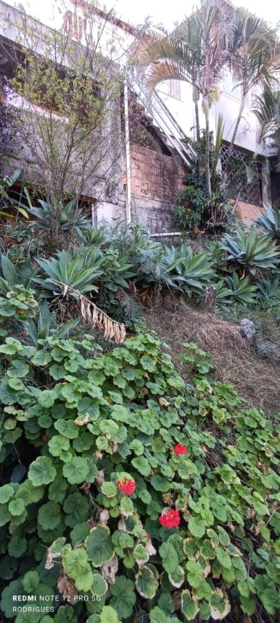 Terreno, 360 m² - Foto 8