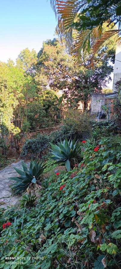 Terreno, 360 m² - Foto 12